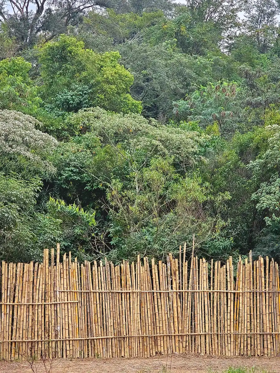 Belleza natural en todo su esplendor