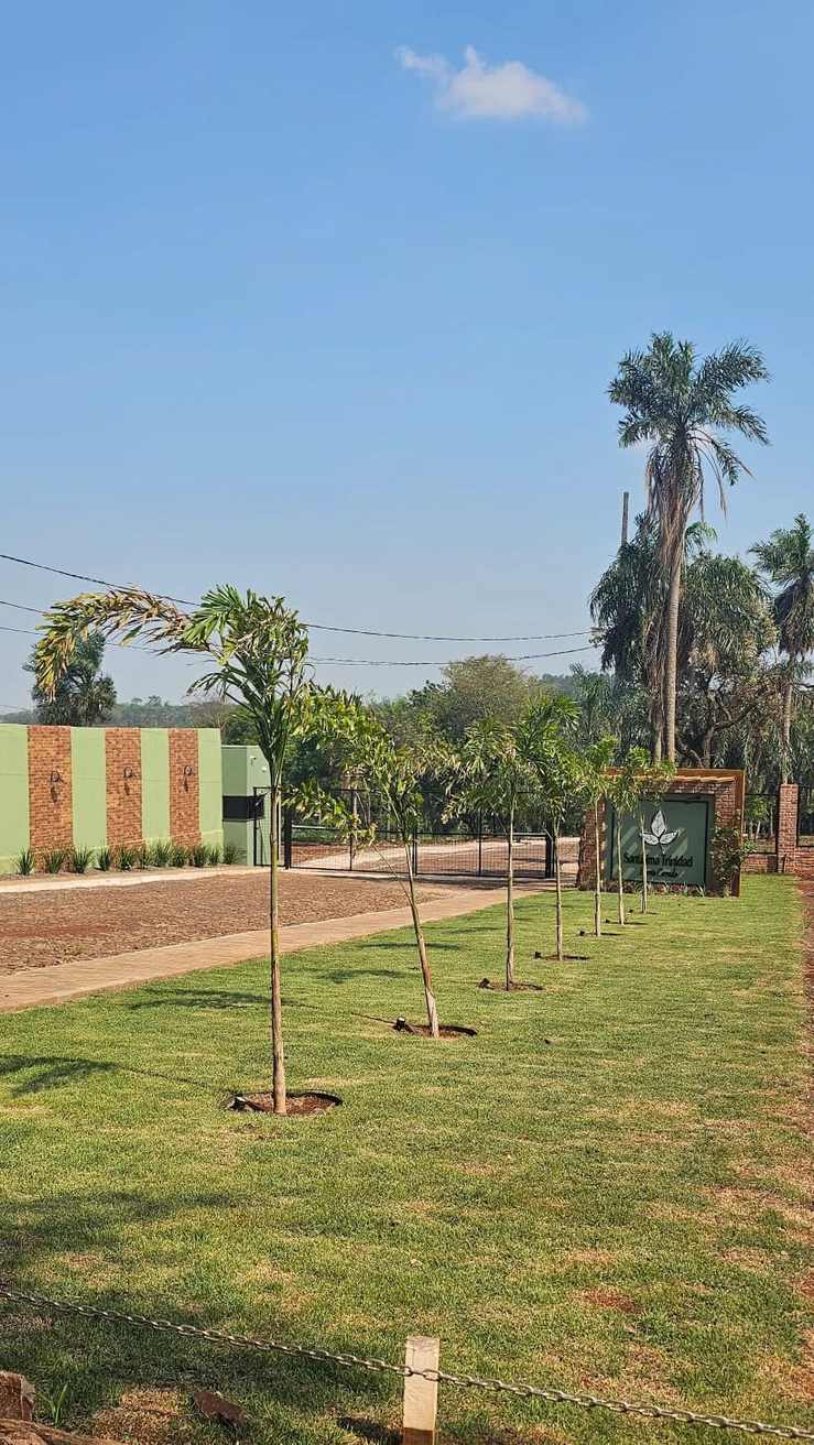 Paisaje natural con vegetación exuberante