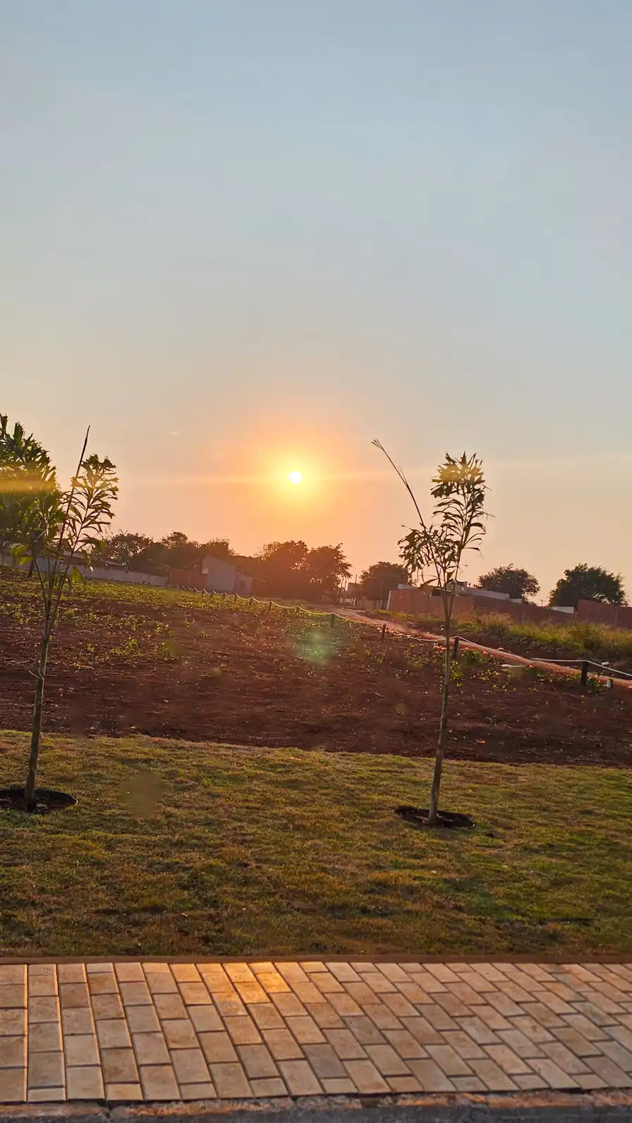 Naturaleza en su estado puro