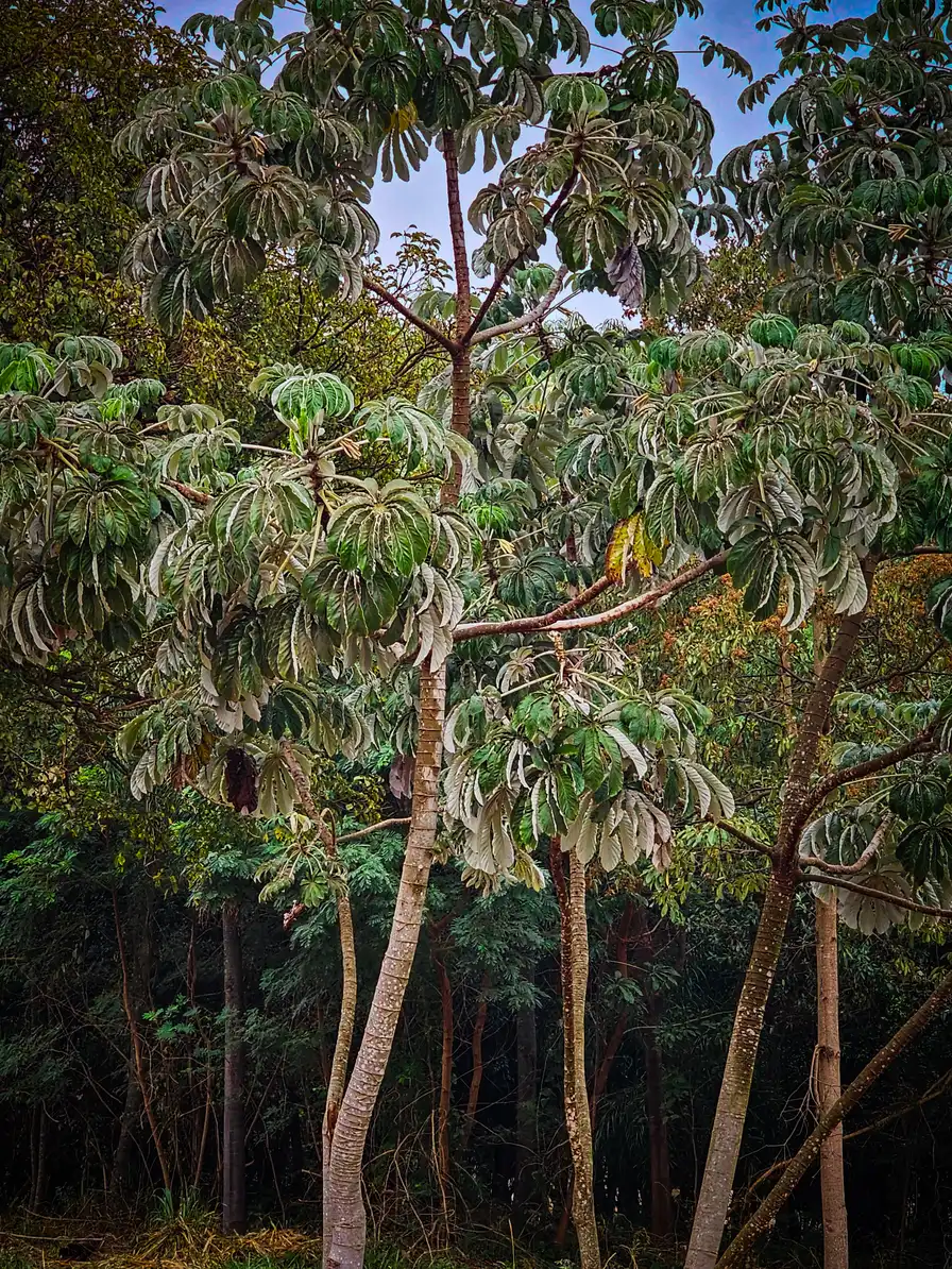 Paisaje natural impresionante