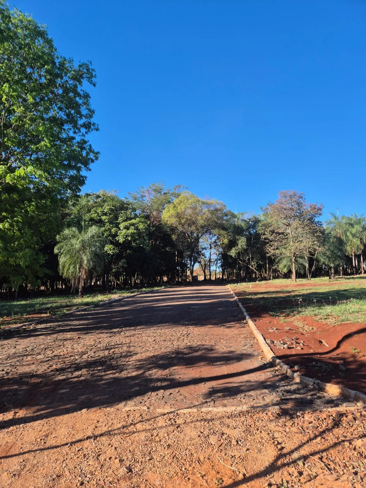 Vista espectacular de la naturaleza